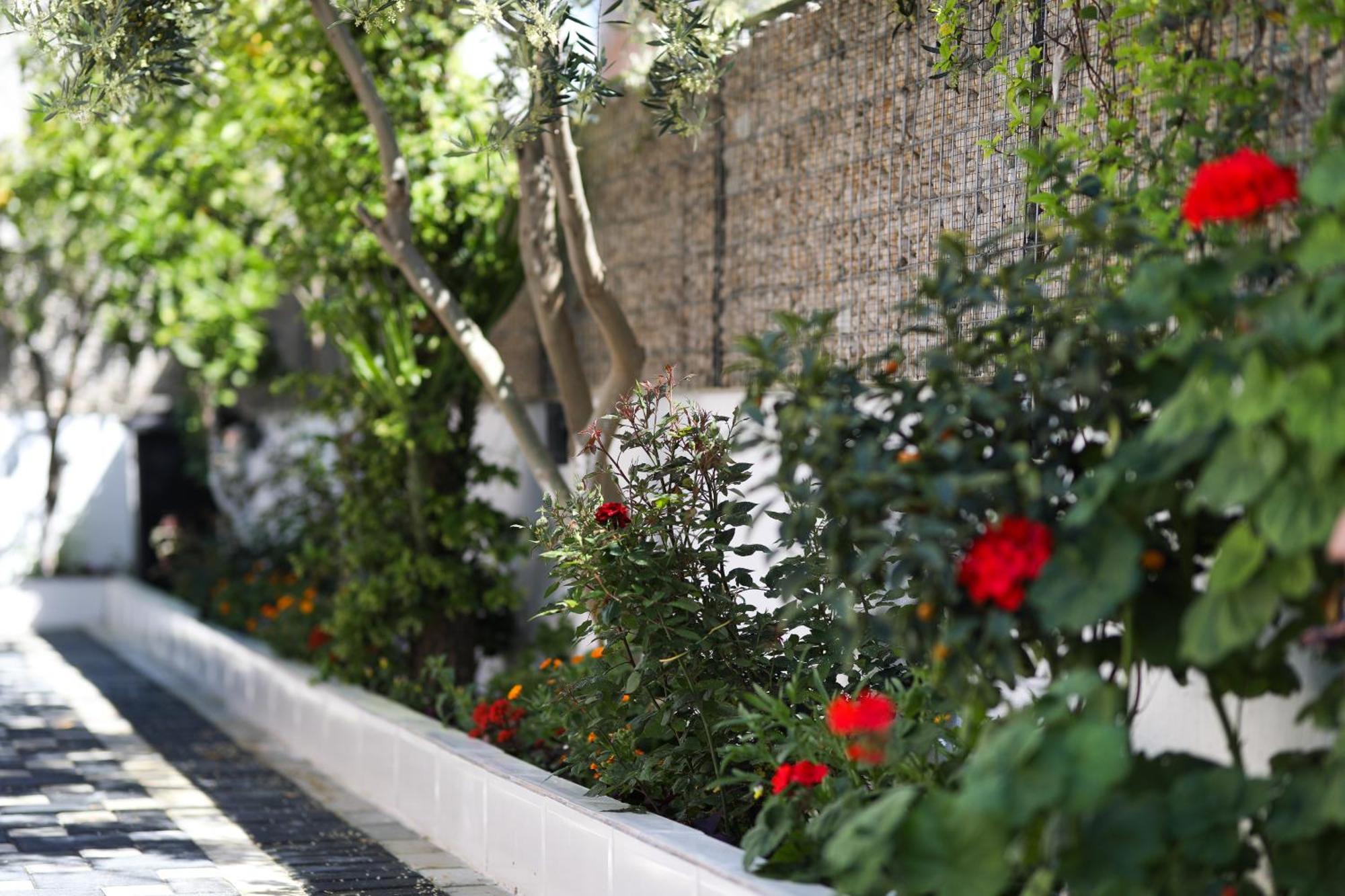 Vila Feliz - Premium Rooms With Free Private Parking Vlore Exterior photo